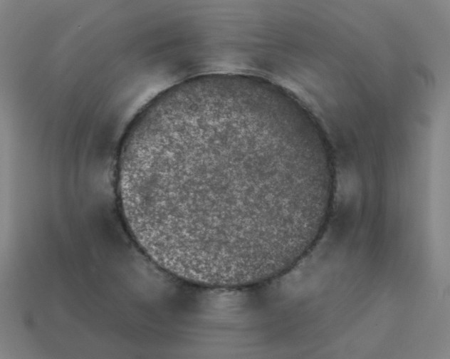 X0000113241314200910081250