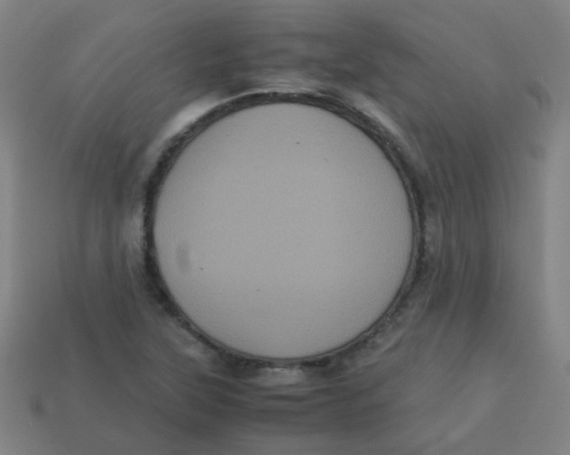 X0000113241315200910081250