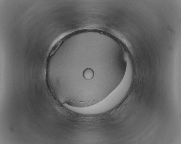 X0000113241316200910081250