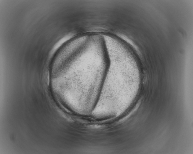 X0000113241317200910081250