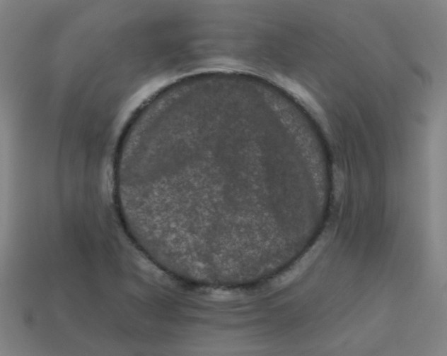 X0000113241318200910081250