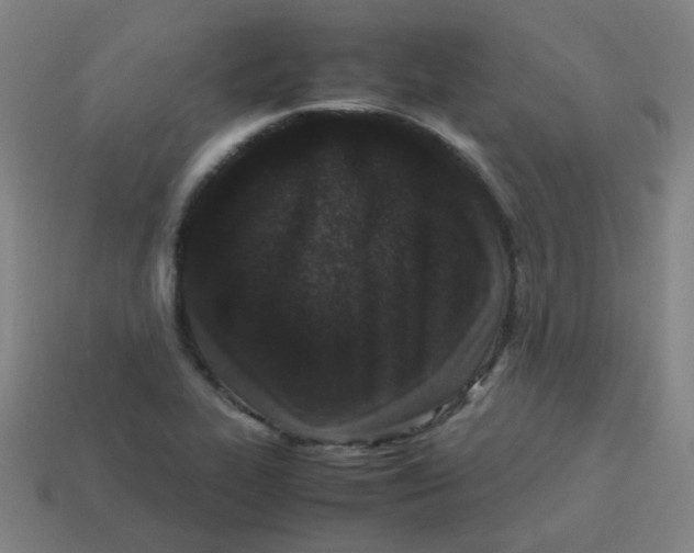 X0000113241319200910081250