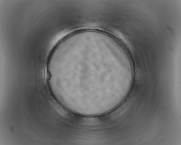 X0000113241320200910081250