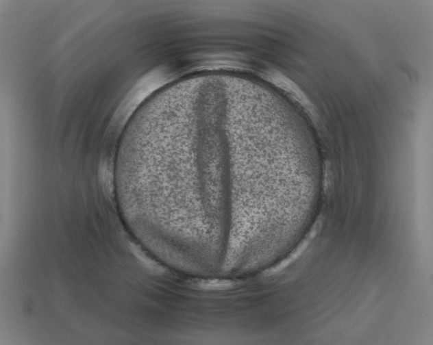 X0000113241321200910081250