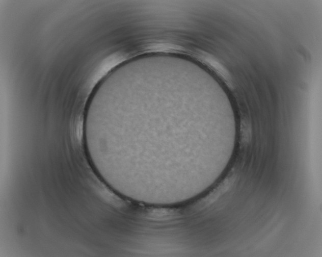 X0000113241322200910081250