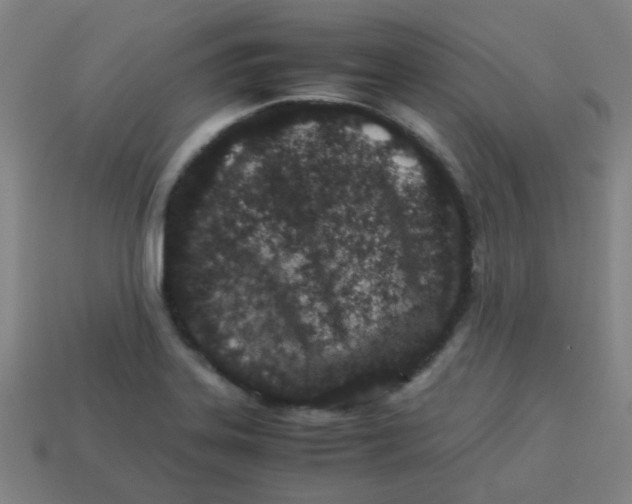 X0000113241323200910081250