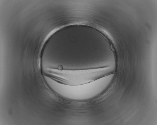 X0000113241324200910081250