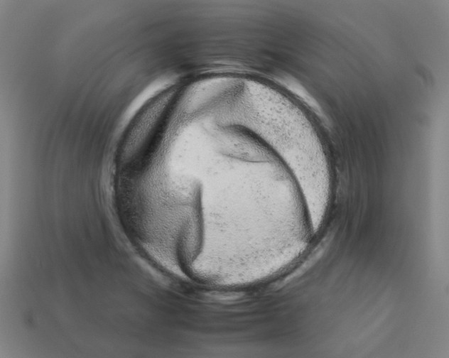 X0000113241325200910081250