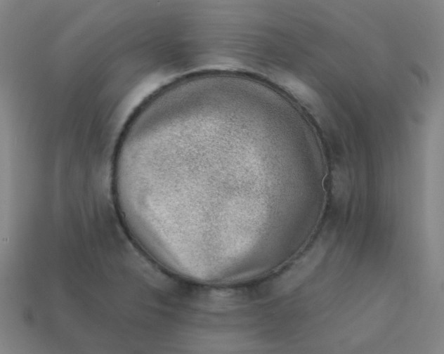 X0000113241326200910081250