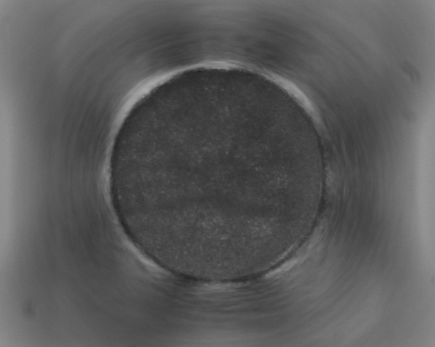 X0000113241327200910081250