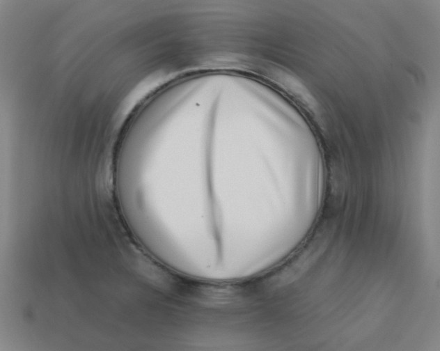 X0000113241328200910081250