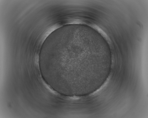 X0000113241329200910081250