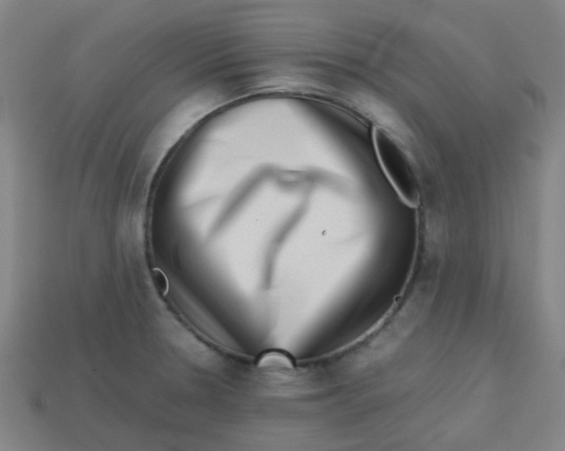 X0000113241330200910081250