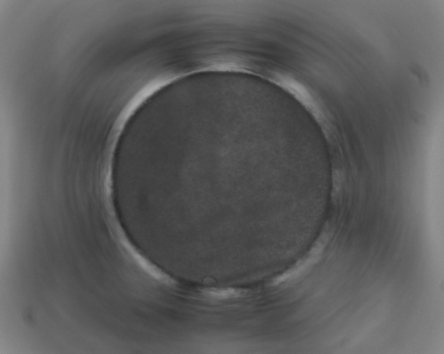 X0000113241331200910081250