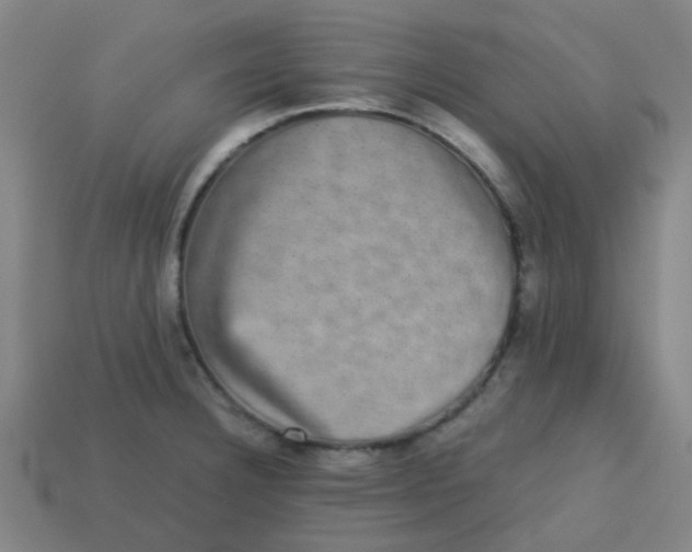 X0000113241332200910081250