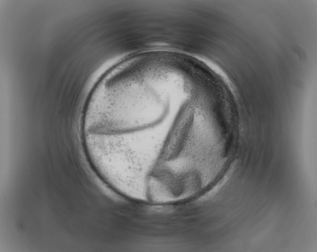 X0000113241333200910081250