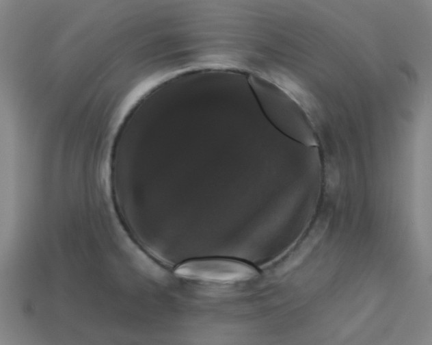 X0000113241334200910081250