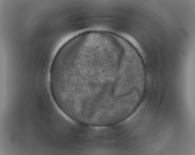 X0000113241335200910081250