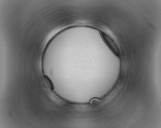 X0000113241336200910081250