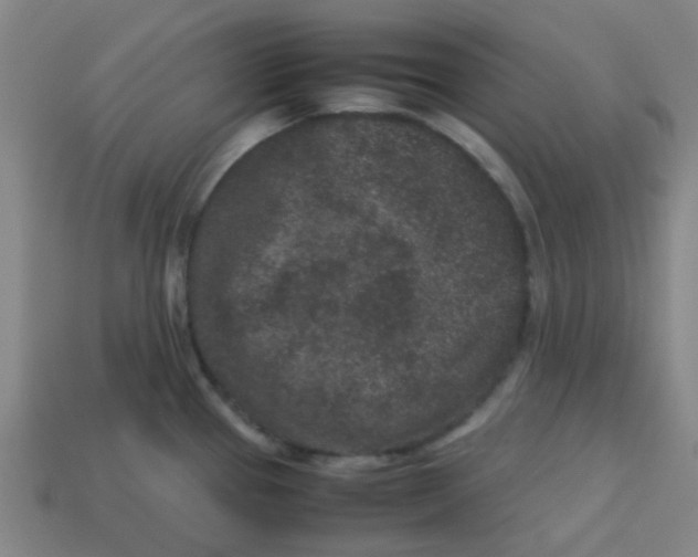 X0000113241337200910081250