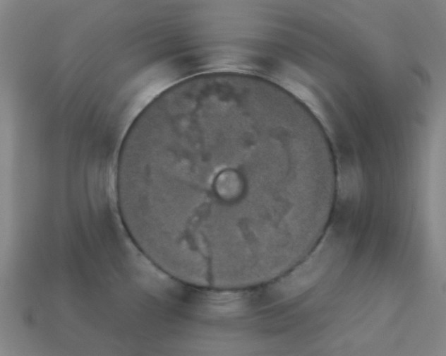 X0000113241338200910081250