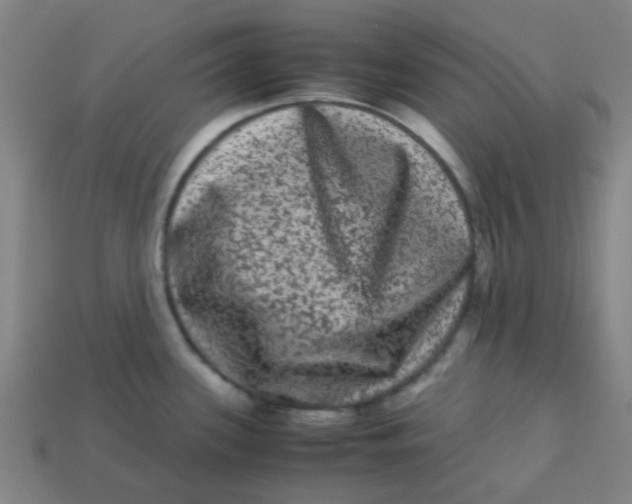 X0000113241339200910081250