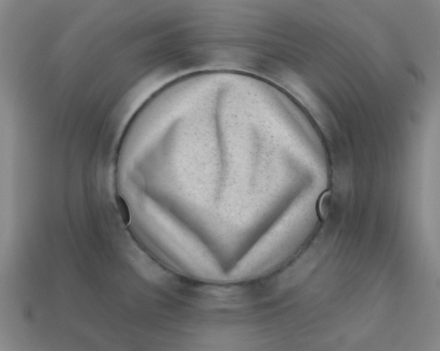 X0000113241340200910081250