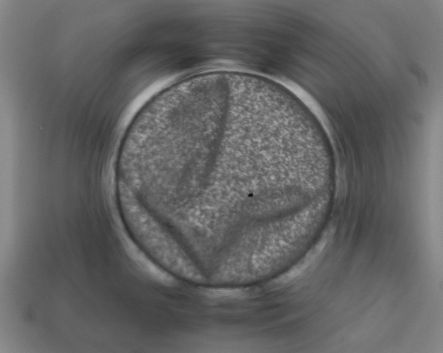 X0000113241341200910081250