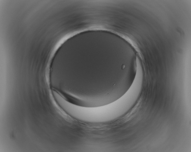 X0000113241342200910081250