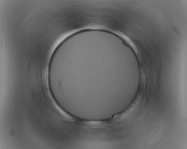 X0000113241343200910081250