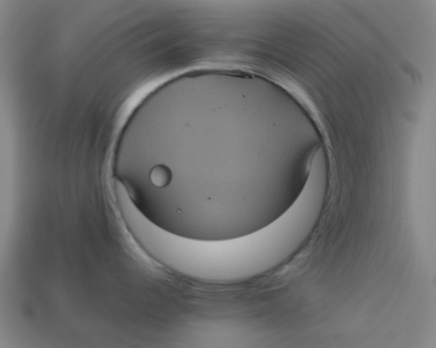 X0000113241344200910081250