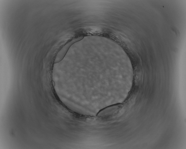 X0000113241345200910081250