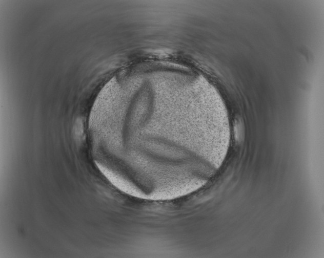 X0000113241347200910081249