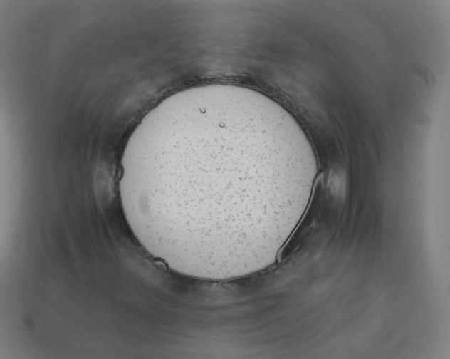 X0000113241348200910081249