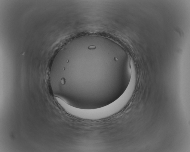 X0000113241349200910081249