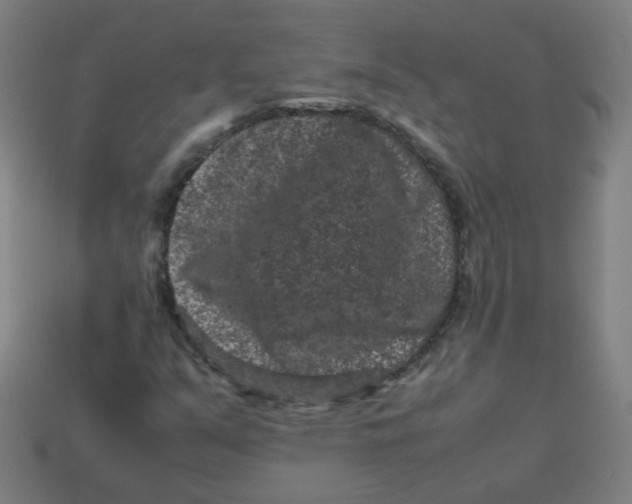 X0000113241351200910081249