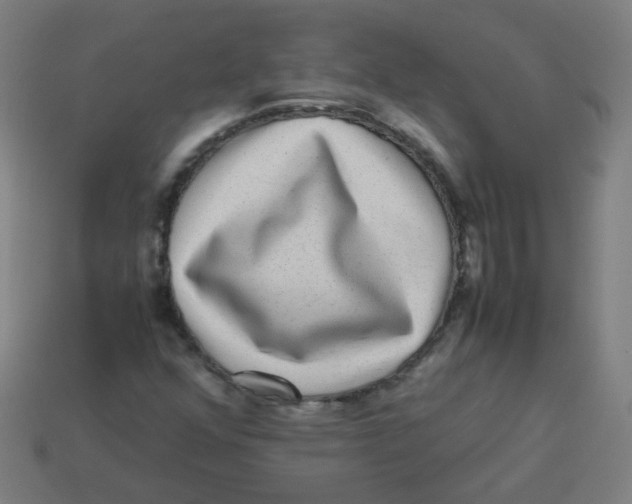 X0000113241352200910081249