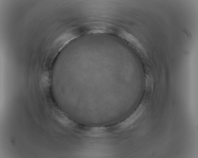 X0000113241353200910081249