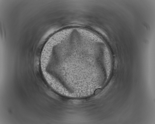 X0000113241355200910081249