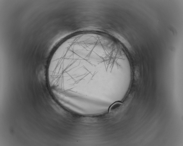 X0000113241356200910081249