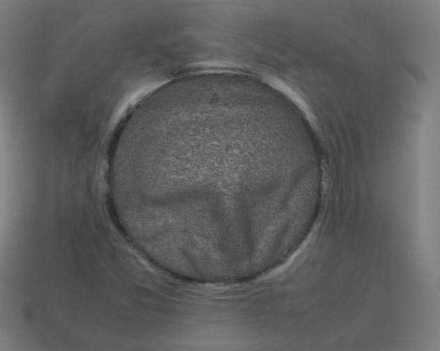 X0000113241357200910081249