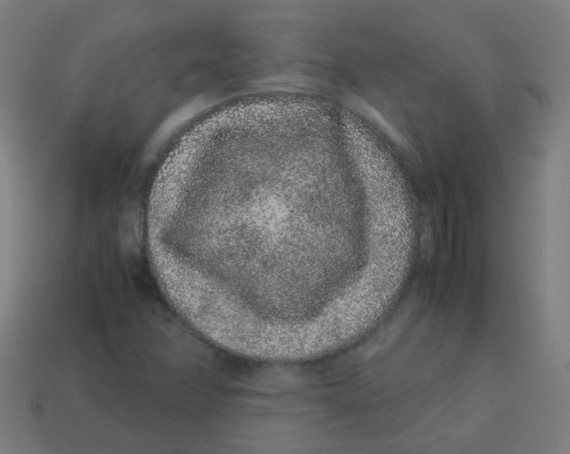 X0000113241358200910081249