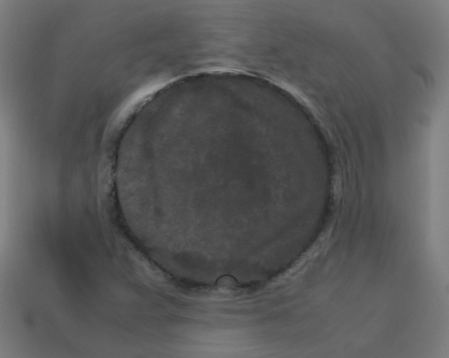 X0000113241359200910081249