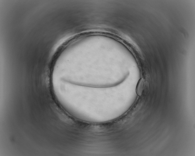 X0000113241360200910081249