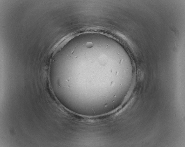 X0000113241361200910081249