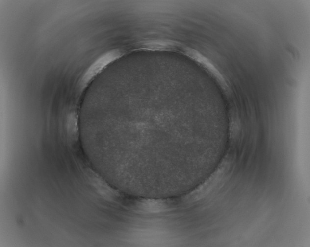 X0000113241362200910081249