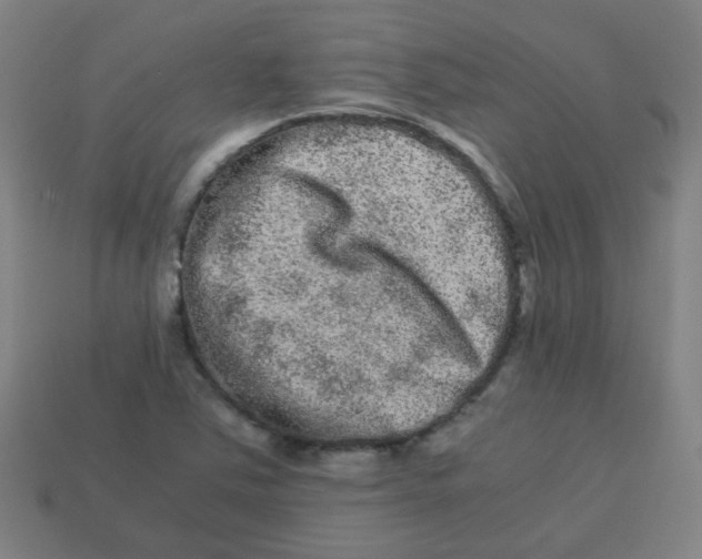 X0000113241363200910081249