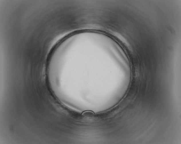 X0000113241364200910081249