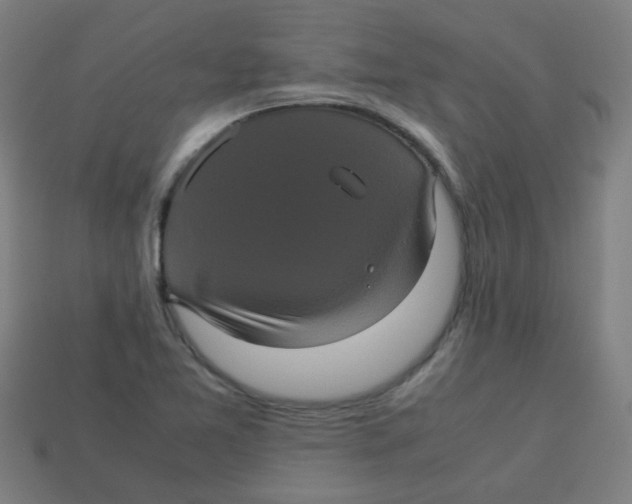 X0000113241365200910081249