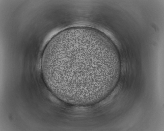 X0000113241366200910081249